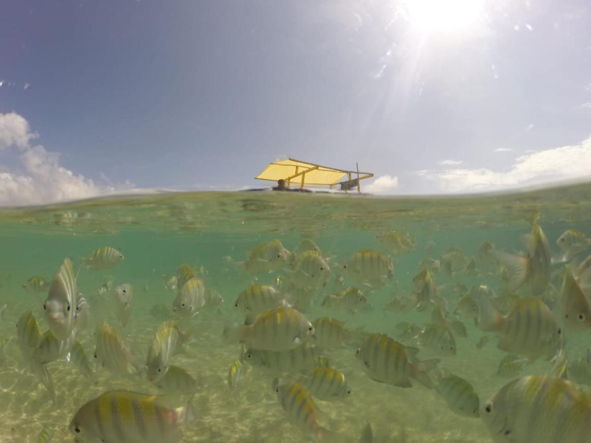 Casa Em Sao Miguel Dos Milagres - 700M Do Mar Villa Bagian luar foto